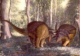 Edmontonia1201807274.jpg