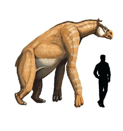 Chalicotherium.jpg