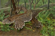 Sinornithosaurus.png