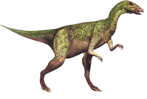 7350354 orig.png
