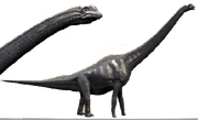 2408423 orig.png