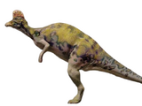 Corythosaurus