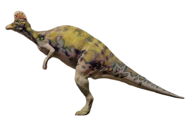 corythosaurus dinosaur with crest on head