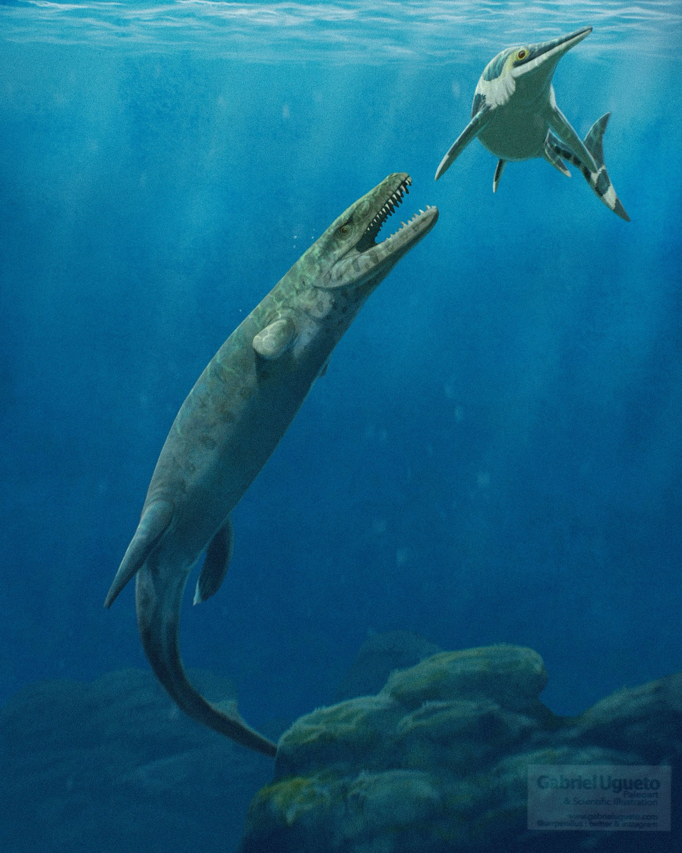 Dakosaurus | Dinosaur Wiki | Fandom
