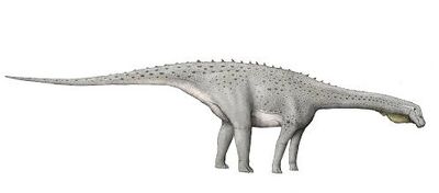 Magyarosaurus.jpg