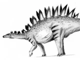 Tuojiangosaurus