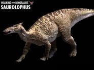 WWD Saurolophus