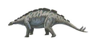 8755058 orig.png