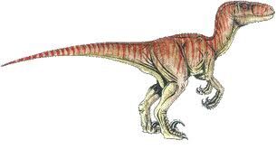 heredar Amperio Aire acondicionado Velociraptor | Wiki Dino | Fandom