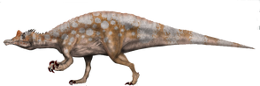 1377714 orig.png