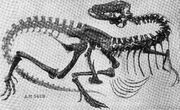 Gorgosaurus skeleton AMNH 5428