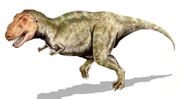 T rex restoration