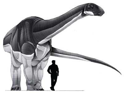 Abrosaurus.jpg
