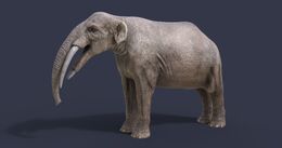 Gomphotherium