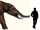 Gomphotherium