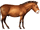 Hippidion