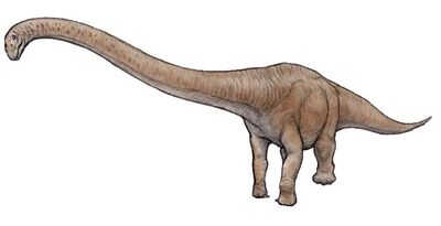 Chuanjiesaurus