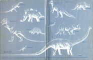 Dinosaurs- endpapers