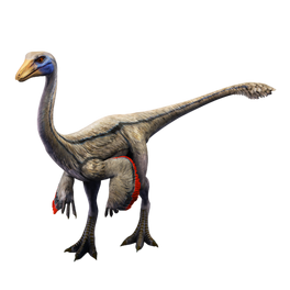 JW Ornithomimus.png