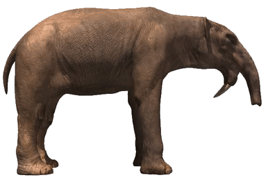 Deinotherium  3D Dinopedia