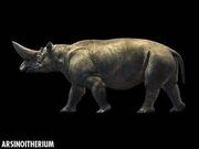 Arsinoitherium