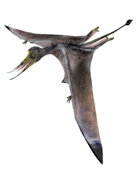 Unique Bone Structure Helped Long-Necked Pterosaurs Fly