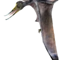 Rhamphorhynchus