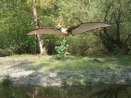 Prehistory Park Pteranodon