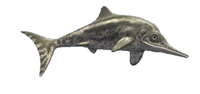 8530726 orig.png