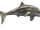 Ichthyosaurus