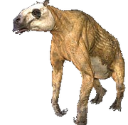 Chalicothere vector