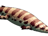 Iberospondylus