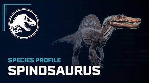 Species Profile - Spinosaurus