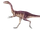 Elaphrosaurus
