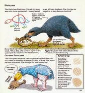 Diatryma How to draw dinosaurs