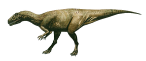 6010269 orig.png