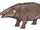 Barytherium