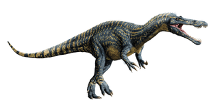 Suchomimus-detail-header