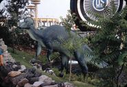 8-64Corythosaurus