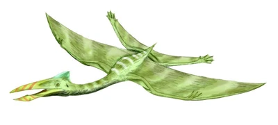 Bakonydraco