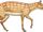 Eohippus