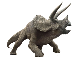 Tiranossauro Rex, Jurassic Park Wiki, FANDOM powered by Wikia