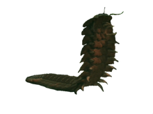 Arthropleura-0.png