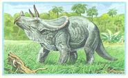 68+Triceratops