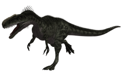 903436481 orig.png
