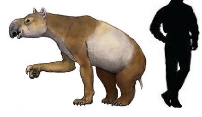 Homalodotherium.jpg