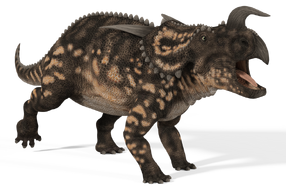 300635101 orig.png