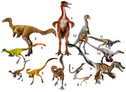 Life reconstruction of 12 alvarezsaurians