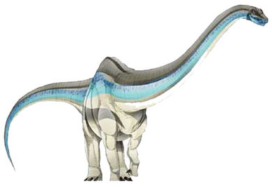 Rebbachisaurus-1