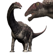 9038891 orig.png